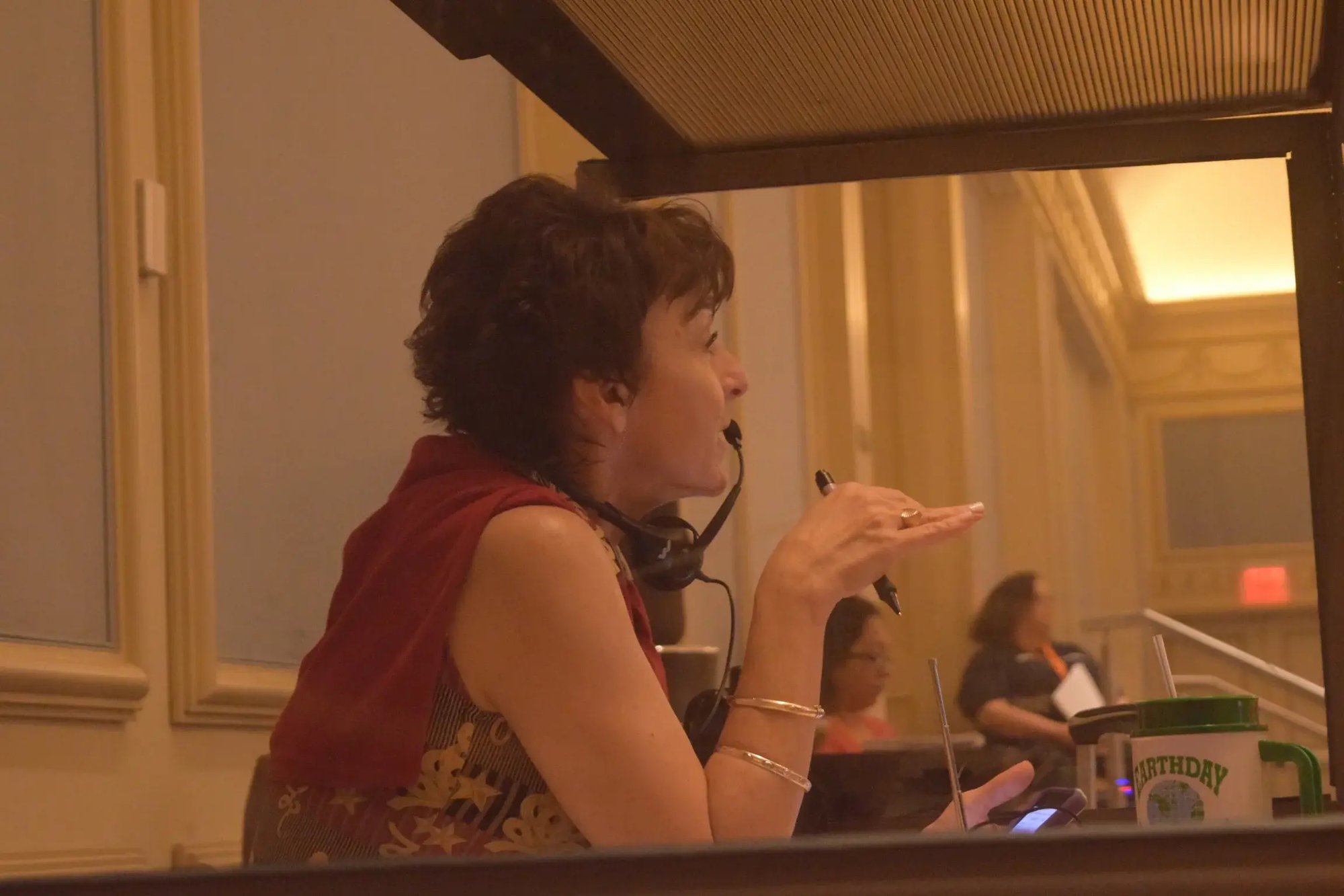 Interpreters in Action(12)