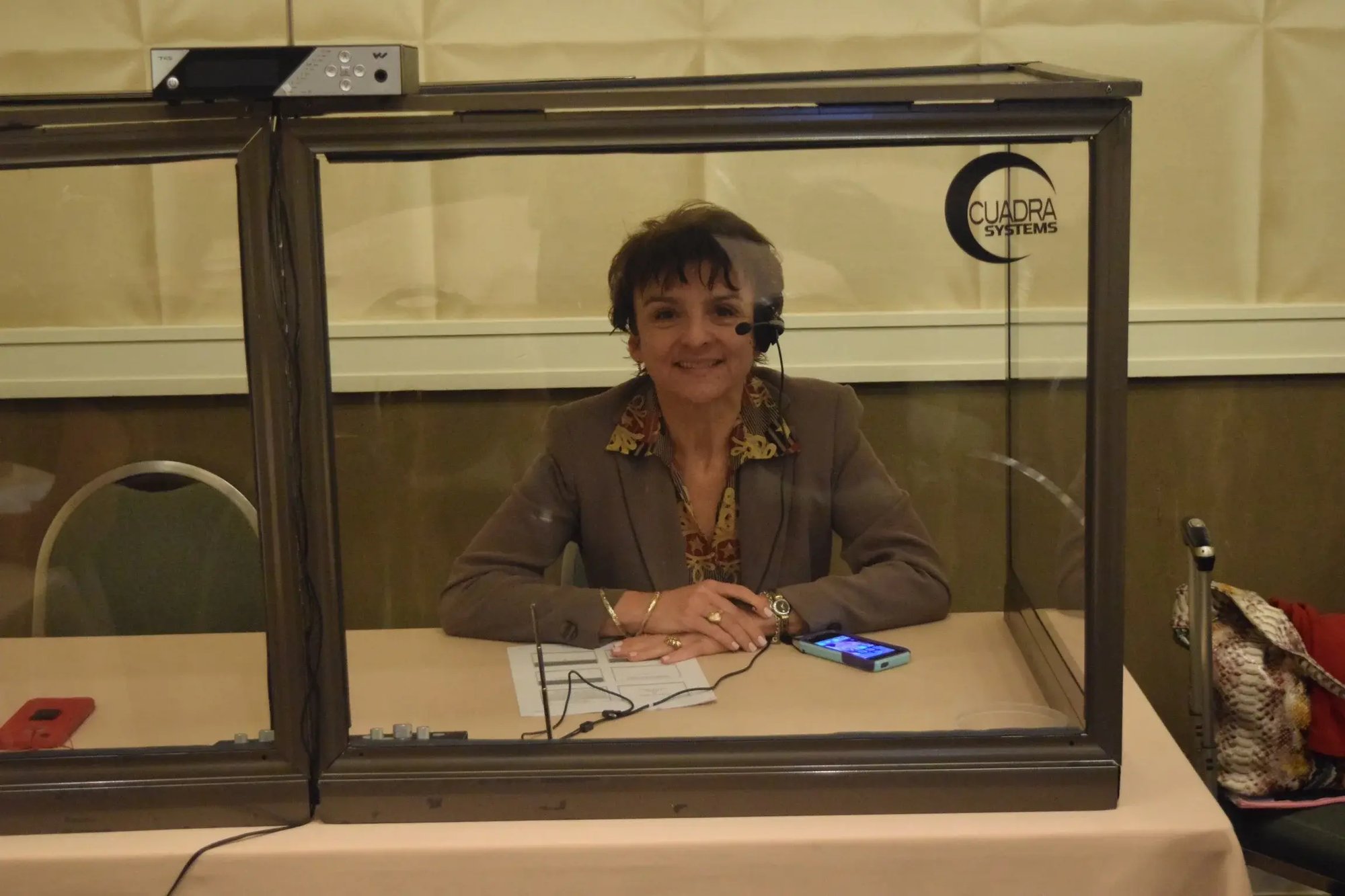 Interpreters in Action(8)